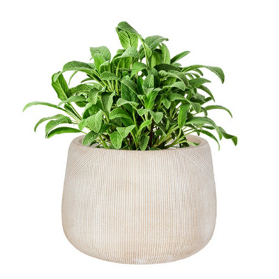 Small Beige Symmetry Stripe Beige Fibre Clay Indoor Outdoor Summer Flower Plant Pot Houseplant Garden Planter