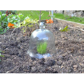 Small Bell Jar Cloche - Glass - L20 x W20 x H20 cm