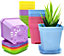Small Decorative Square Plant Pots - 15 Pack