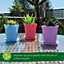 Small Decorative Square Plant Pots, Colourful Plastic Plant Pots with Trays - in Yellow, Blue, Pink and Purple (15 Pack)