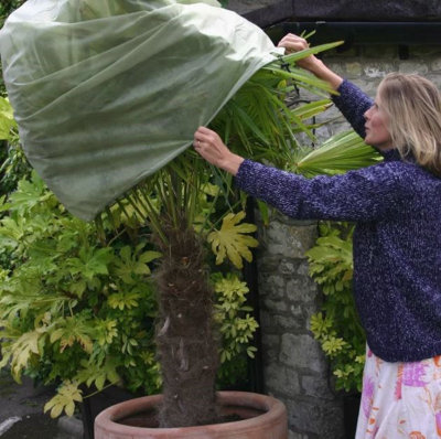 Small Easy Plant Fleece Overwintering Jacket Pack of 4