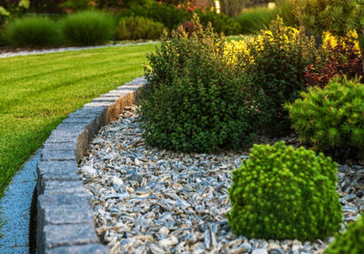 Curved garden border with bark and small pruned shrubs arranged throughout.