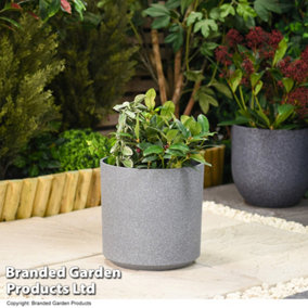 Small Grey Cylinder Stone Effect Planter Outdoor Garden Plastic 26cm (x1)