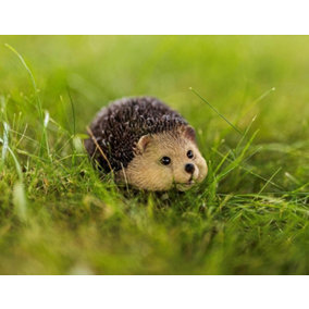Small Hedgehog Garden Ornament