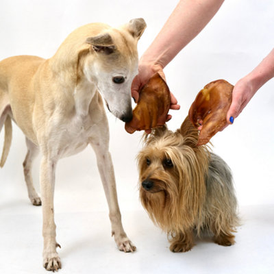 Small Pig Ears (20kg box) Natural Dog Treats