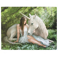 Small Pure Heart Unicorn and Druid Magical Wall Canvas Print Plaque by Anne Stokes. H19 cm.  Mounted on a Wooden Frame.