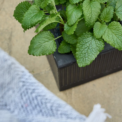 Small Rib Black Ribbed Finish Fibre Clay Indoor Outdoor Garden Plant Pots Houseplant Flower Planter