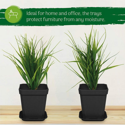 Indoor decorative plant on sale pots