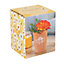 Small Terracotta Indoor Plant Pot with a Bee Design. Gift Idea. (Dia) 8.5 cm