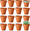 Small Terracotta Plant Pots - (5cm, 16 pots) Mini Terracotta Plant for Flowers, Herb Planters, Seeds and Decor
