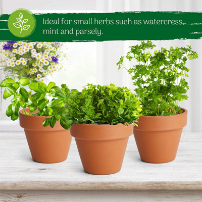 Small Terracotta Plant Pots - (8cm, 16 pots) Mini Terracotta Plant for Flowers, Herb Planters, Seeds and Decor