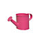 Small Zinc Childrens Watering Can Flower Plant Pot Garden Watering Can Bright Pink