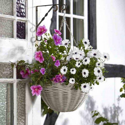 Smart Garden 35cm 14 Inch Rattan Effect Hanging Basket Seashell Cream Planter