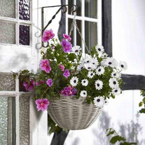 Smart Garden 35cm 14 Inch Rattan Effect Hanging Basket Seashell Cream Planter