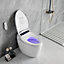Smart Intelligent Bidet Toilet, Touch Sensor, Seat Warmer, Auto Wash, Auto Flush & More