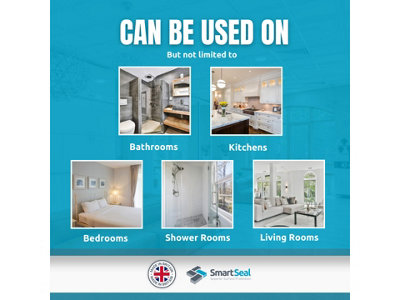 Buy SmartSeal - Anti Mould Paint - Brilliant White (1L) For Bathroom ...