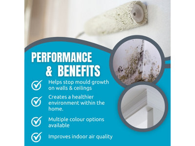 SmartSeal - Anti Mould Paint - Magnolia (5L) For Bathroom, Kitchen and Bedroom Walls & Ceilings -Protection Against Mould