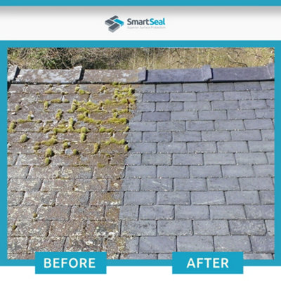 Smartseal Green Clear (Formerly Moss Clear) Lichen Remover and Algae Killer for Roofs, Driveways and Patios, 3 x 5L