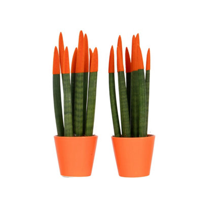 outdoor planter extra large Seeley Cube Block Planter - 30