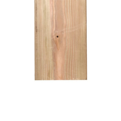 Snowdon Timber Treated 6x2