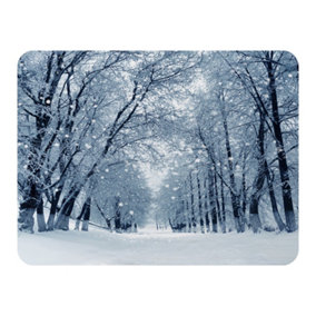 Snowstorm in park (blanket) / Default Title