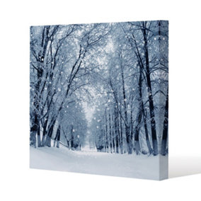Snowstorm in park (canvas) / 101 x 101 x 4cm
