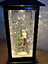 Snowtime Battery Operated 27cm LED Water Lantern With Santa