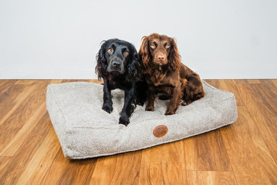 SNUG AND COSY TEDDY BOUCLE OAT LOUNGER 120cm X 75cm Price Comparisons | Compare The Build