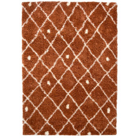 Snug Collection Nomadic Shaggy Rugs  I044A