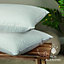 Snuggledown Clusterdown Pillow 2 Pack Medium Support Pillow 100% Cotton Cover Comfortable 43x69cm