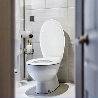 Family Toilet Seat With Soft-close Mechanism With SHELL Motif 