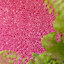 Soft Value Barbie Pink Shaggy Area Rug 135x135cm