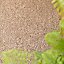 Soft Value Natural Oatmeal Shaggy Area Rug 135x135cm