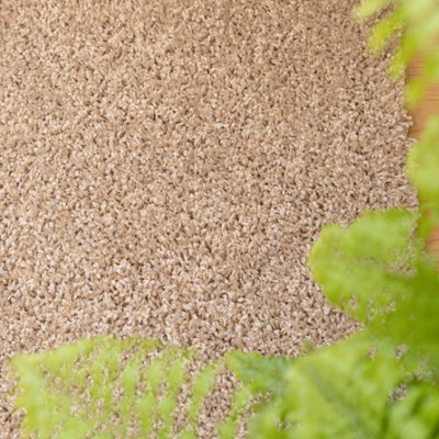 Soft Value Natural Oatmeal Shaggy Area Rug 80x150cm