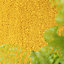 Soft Value Yellow Shaggy Area Rug 110x160cm