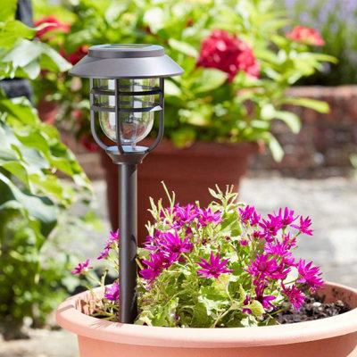Solar Avant Stake Light Garden Lighting
