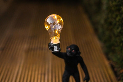 Monkey deals light bulb