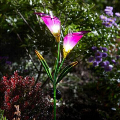 Solar light on sale up flowers