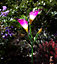 Solar LED Pink Lily Garden Light Ornament