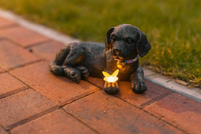 Solar Light Up Puppy with Butterfly