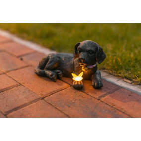 Solar Light Up Puppy with Butterfly