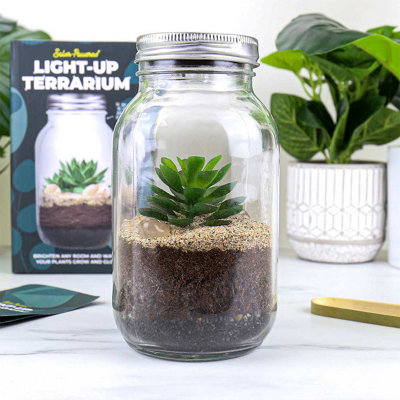 Solar-Powered Light-Up Terrarium Grow Kit