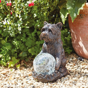 Solar Powered Mystic Dog Garden Ornament - Hand Painted Sculpture with Light Up LED Crackle Glass Ball - H19.5 x W10 x D15.5cm