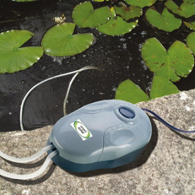 Solar Powered Pond Oxygenator - Water Aerator for Reducing Algae & Harmful Bacteria Build Up in Small to Medium Size Ponds