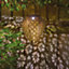 Solar Powered Zarina Hanging Lantern - Outdoor Garden Bronze Effect Decorative Silhouette LED Light - H22.5 x 17.5cm Diameter