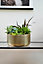 Solis Embossed Bowl Planter - Metal - L30 x W30 x H15 cm - Gold