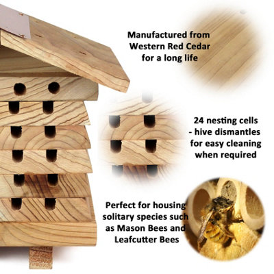 Solitary Beehive Mason Hotel In High Quality Cedar - 3
