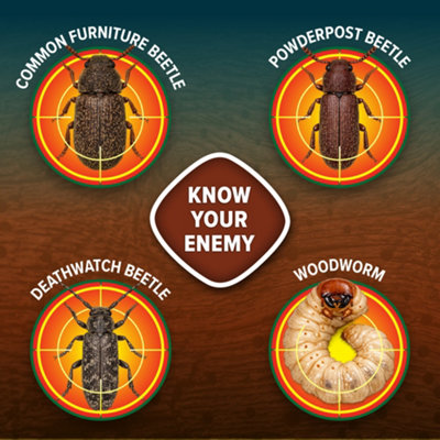 Soluguard Woodworm & Rot Treatment (5 Litre Clear) - Ready to Use ...