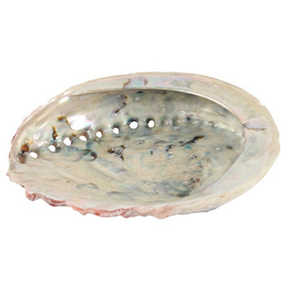 Something Different Abalone Shell Off White/Red/Grey (One Size)