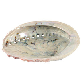 Something Different Abalone Shell Off White/Red/Grey (One Size)